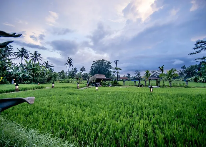 Anumana Village Hotel Ubud