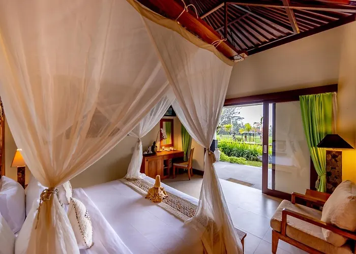 Anumana Village 4*