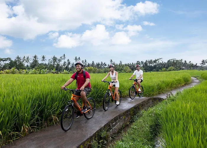 Anumana Village 4*