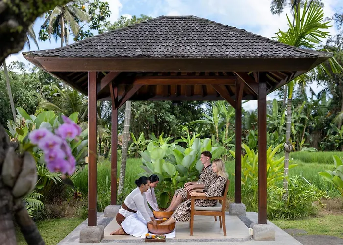Hotel Anumana Village