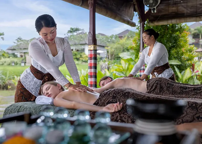 Anumana Village 4*