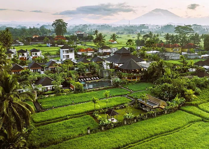 Hotel Anumana Village 4*